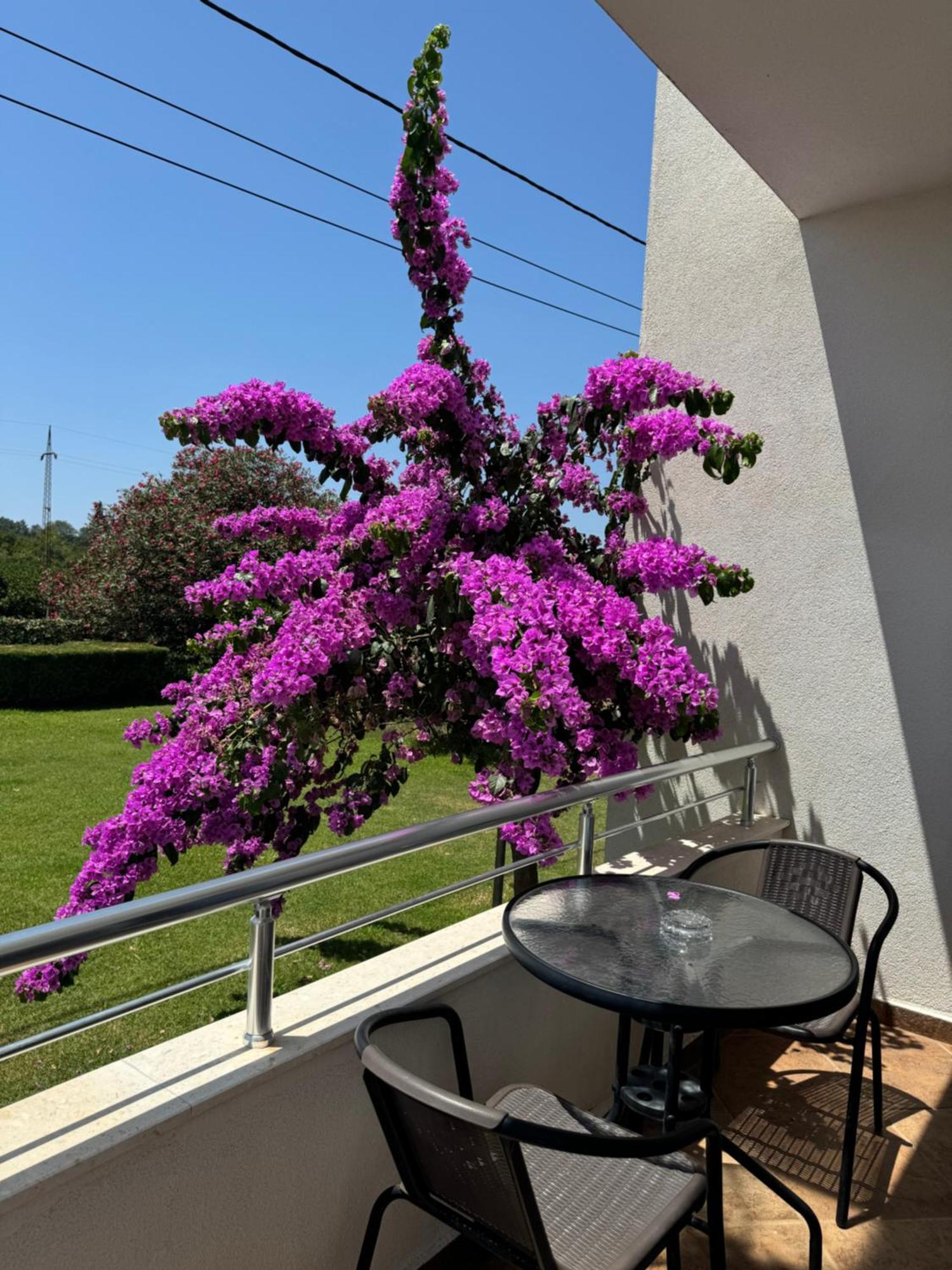 Sunrise House Apartment Ulcinj